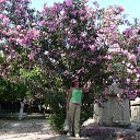 ���� ��������, ���������� - ��������� 16 ������� 2011