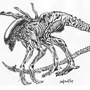  Xenomorph, , 53  -  4  2010   AVP