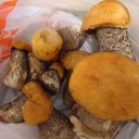  {} Den,  -  23  2012    