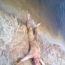 ���� �������, �����, 54 ���� - ��������� 8 ���� 2013 � ������ ���� ����������