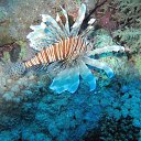 ���� �������, �������, 31 ��� - ��������� 2 �������� 2011 � ������ �������