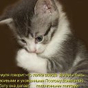 ���� ������, �����������, 50 ��� - ��������� 16 ������ 2010 � ������ ������ � ���������� ����������