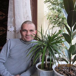 ���������, ���������