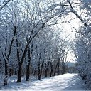 ���� �����, ������, 35 ��� - ��������� 14 ��� 2012