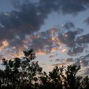 ���� ������, ������� - ��������� 23 ��� 2010 � ������ ����