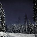���� ��������, �����-��������� - ��������� 31 ������ 2012 � ������ ���������, �����