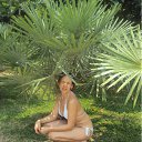 ���� �����, ������� - ��������� 7 ������ 2012