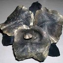 ���� �����, ������ �������� - ��������� 19 ������� 2009 � ������ ������� � �����