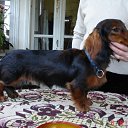 ���� &deg;&bull;*������&deg;&bull;*, ����������, 23 ���� - ��������� 3 ���� 2010 � ������ ��������!�