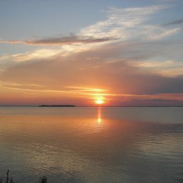 �������, ������������, 71 ���