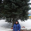 ���� �����, �����-���������, 48 ��� - ��������� 17 ������� 2013 � ������ ���� ����������