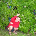  , , 50  -  1  2012   2012