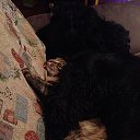 ��� ����� �����... �� ������� ����� ��� ������������