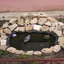 ���� �����, ���� - ��������� 31 ��� 2013 � ������ ���� ����������