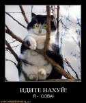 ���� �������, ������, 46 ��� - ��������� 13 ���� 2013 � ������ ���� ����������