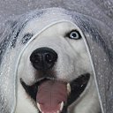 ���� �������, ����-�������, 50 ��� - ��������� 1 ��� 2013 � ������ ��������-�������