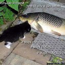 ���� �������, ������, 41 ��� - ��������� 11 ������� 2009 � ������ ��������� � ���������