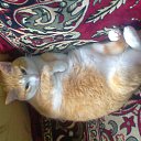  Ale@ndr,  -  22  2012   