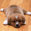 ���� ����, ������ - ��������� 8 ���� 2012 � ������ ���� ����������