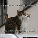  Annet,  -  4  2011   л
