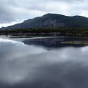 ���� Imun, �������, 47 ��� - ��������� 27 ���� 2012