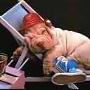 ���� Knoss, ������������, 26 ��� - ��������� 18 ������� 2009 � ������ �������� - �����������