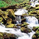 Lower Proxy Falls, Three Sist   