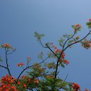 ���� ������, ������, 51 ��� - ��������� 2 ������� 2011 � ������ ������(�.�������)�