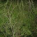 ���������� ���� �� ������� ��������