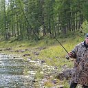 ���� ������, ������, 37 ��� - ��������� 28 ���� 2013