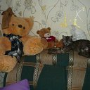 ���� �����, ������, 50 ��� - ��������� 2 ������� 2010 � ������ ��������