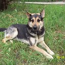 ���� �����, ��������, 46 ��� - ��������� 4 ������ 2009 � ������ ���� ������ ))�