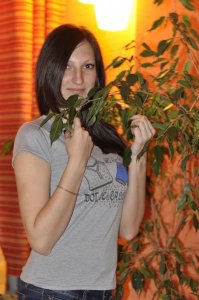 ��������, �����������, 37 ���