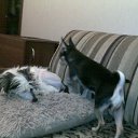 ���� Yushka Ya, �����-��������� - ��������� 12 ������ 2013 � ������ ���� �������)�