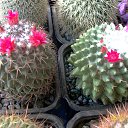 ���� ������, ������, 69 ��� - ��������� 5 ������ 2013 � ������ ���� ��������� ����������