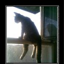 ���� ����, �������, 54 ���� - ��������� 3 ������� 2011