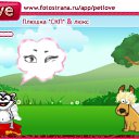  , , 41  -  1  2010   PetLove