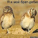 ���� �����, �������, 50 ��� - ��������� 6 ����� 2013 � ������ ���� ����������