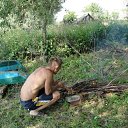  , , 50  -  1  2012   2012