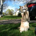 ���� �����, �����, 28 ��� - ��������� 24 ���� 2013 � ������ ���� ����������