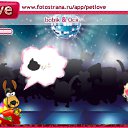  ,  , 46  -  5  2010   PetLove