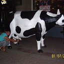  , , 41  -  12  2010     !