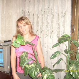 ���� ����, �����, 38 ��� - ��������� 9 ������� 2010