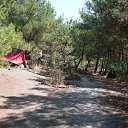 ���� �����, �������, 55 ��� - ��������� 4 �������� 2012 � ������ ������ �������; ������