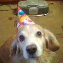 ���� Larka, ������, 52 ���� - ��������� 11 ������ 2012 � ������ ���� ����������