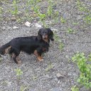 ���� &deg;&bull;*������&deg;&bull;*, ����������, 23 ���� - ��������� 15 ��� 2010 � ������ ���� ��������