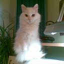 ���� �����, ������, 40 ��� - ��������� 16 ������ 2011