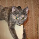 ���� ��������, ������, 58 ��� - ��������� 21 ������� 2012