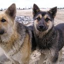 ���� ����������, ���������� �����, 46 ��� - ��������� 13 ������� 2009 � ������ ���������