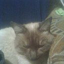  , --, 56  -  2  2012    